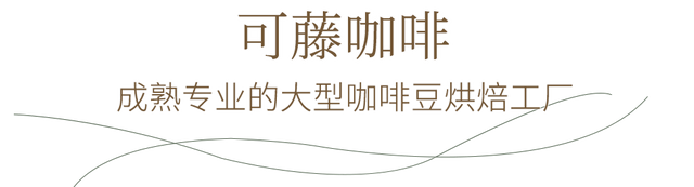 伐得了！一次喝到50+全球网红咖啡店，限时3天