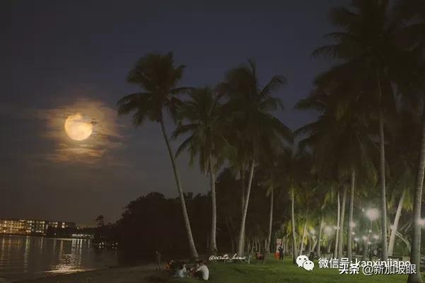 大雨降临前，公众纷纷拿出手机，拍摄“十五的月亮十六圆”