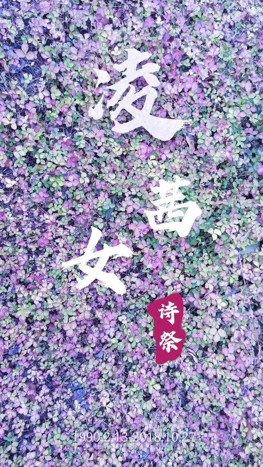 凌茜女逝世两周年纪念诗歌52篇