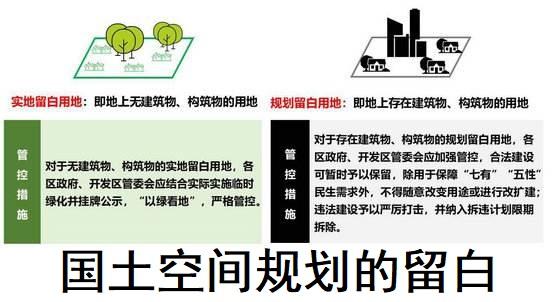 城市国土空间总体规划中的战略留白研究:为城市未来留下无限可能