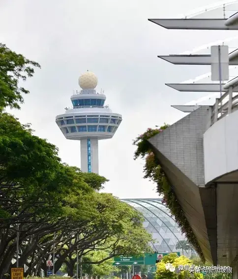 樟宜机场繁忙度跌出世界十大，将逐步重开边境，拯救航空业