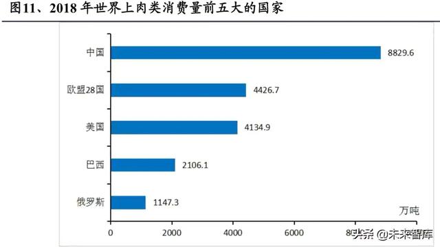 人造肉的分析