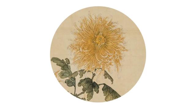 清华藏珍 · 云欣赏 | 秋风起，雁南飞，邀君共赏霜下杰