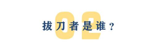 两面三刀：美国绞杀外国企业的幕后黑手是谁？