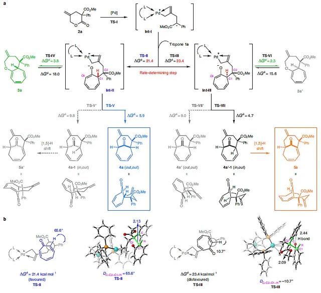 钯催化的立体选择性高阶环加成制备「5.5.0」和[4.4.1