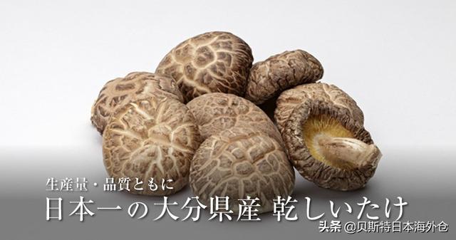 日本都道府县GDP/经济排名看看哪个地方的GDP最强