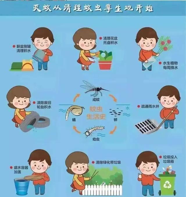 假期归来，赶紧看看它们有无在家安营扎寨