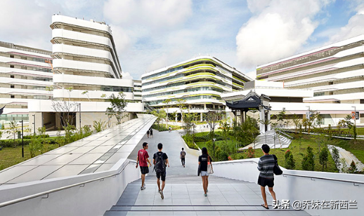 新加坡科技设计大学申请条件