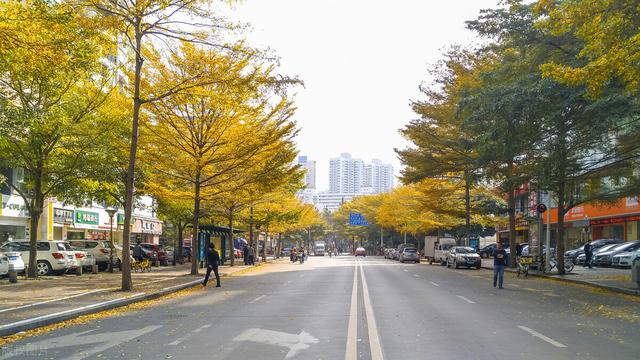 年轻人快回来！深圳迎重磅土地政策，学习新加坡模式有土地供应了