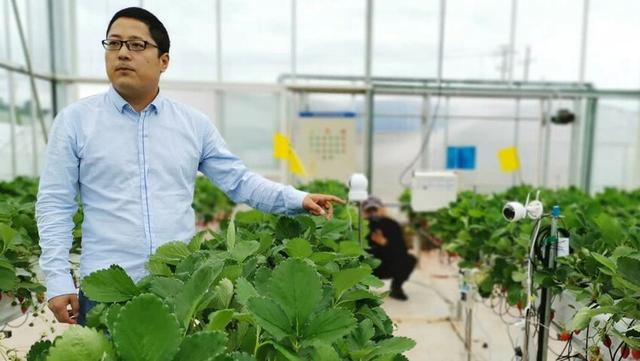 中国的拼多多转向智慧农业来促进疫情后增长