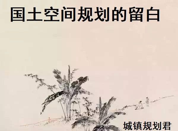 城市国土空间总体规划中的战略留白研究:为城市未来留下无限可能