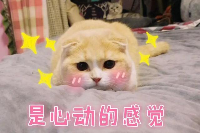 中奖名单出炉！“天目锦鲤”遍布大江南北，这幸运也太令人羡慕了吧
