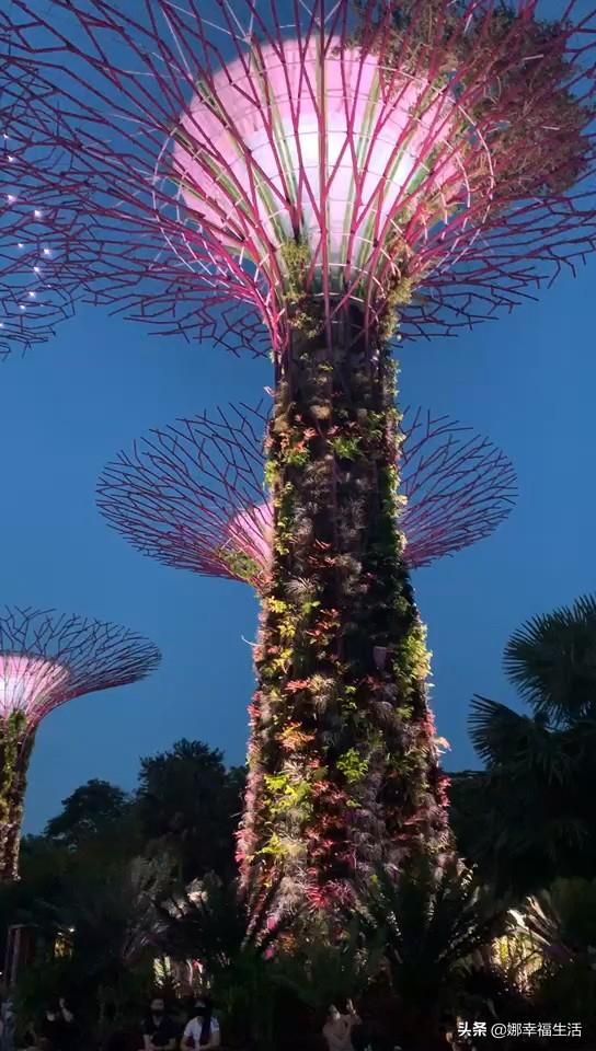 新加坡的日子-好美