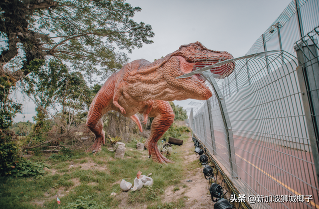 实拍！新加坡樟宜机场被恐龙占领，最大17米长超级逼真