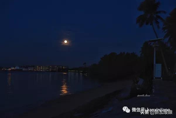 大雨降临前，公众纷纷拿出手机，拍摄“十五的月亮十六圆”