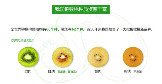 卫星数据独家揭秘——卫星下的丰收好味道：为什么苍溪红心猕猴桃这么“红”