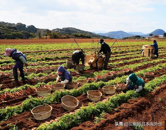 日本都道府县GDP/经济排名看看哪个地方的GDP最强