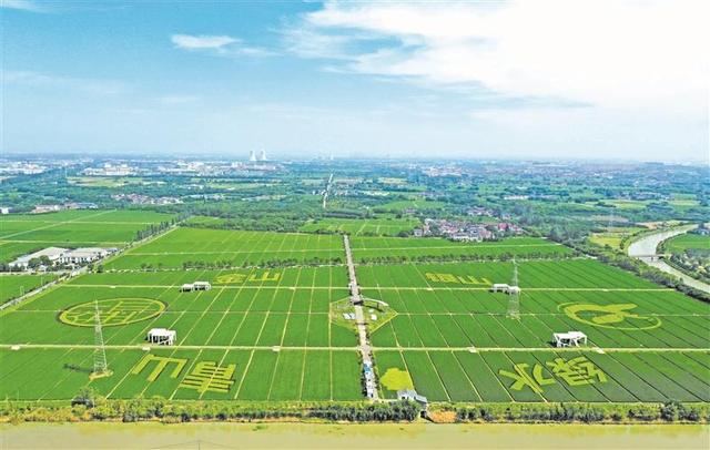 亩均效益最高300万元 看锡山现代农业产业园如何玩转“农业+”