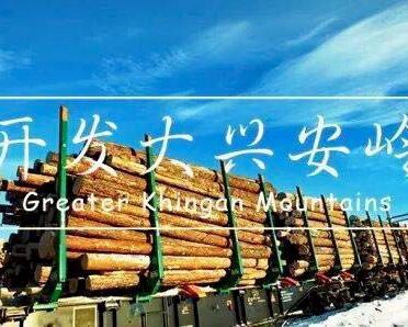 铁道兵第三师与大兴安岭林区（上） 作者：杨景林