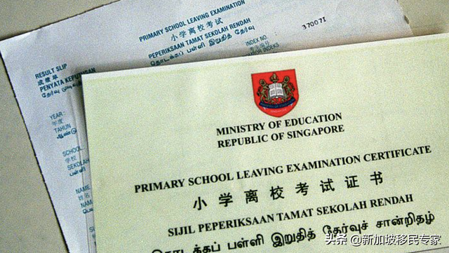 一年一度的新加坡“小升初”放榜了