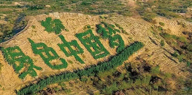 美国：中国搞面子工程！花几千亿在沙漠种树，日本专家：你懂什么