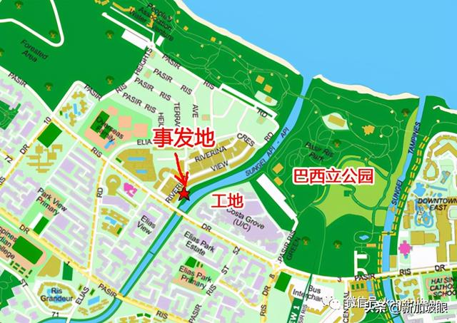 被野猪攻击血流不止，惊动了部长，新加坡的公园还安全吗？