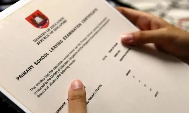 新加坡小六会考成绩终放榜！98.4%考生升上中学