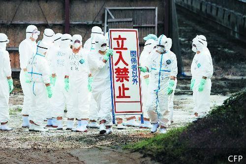 日本接连出现禽流感疫情