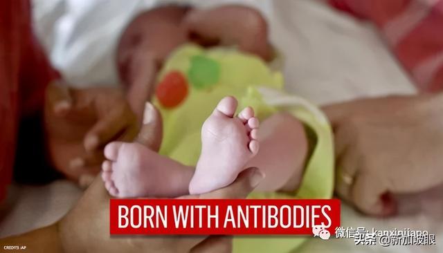新加坡冠病孕妇痊愈后，生下的孩子有抗体！但世卫却这么说