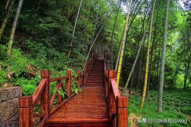 2020年浙江十大必去旅游景点，先收藏起来吧，不怕找不到了