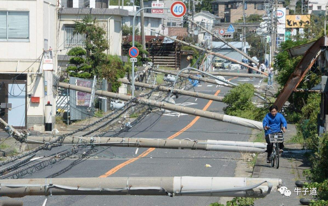 电线杆，难倒日本