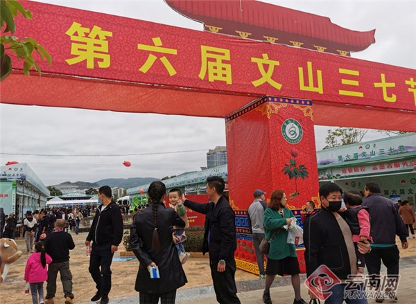 今天，第六届文山三七节开幕