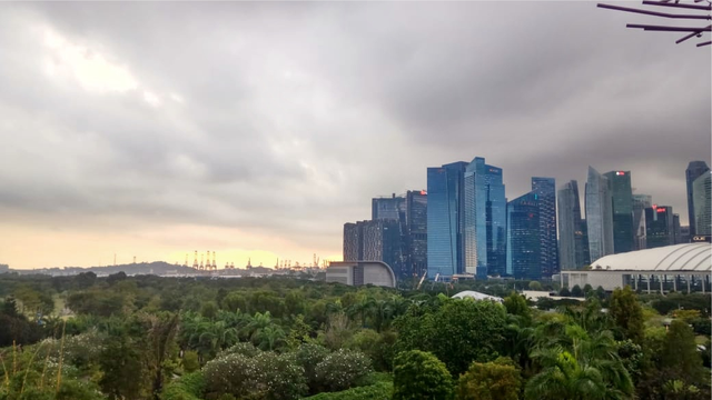 登上空中走廊，俯瞰新加坡