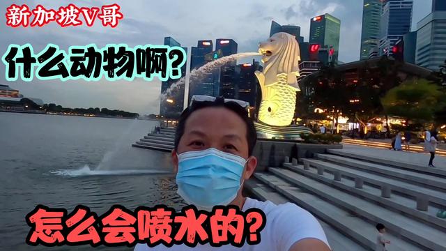 新加坡老哥，这个景真的太美了，每小时都有不同的景色！