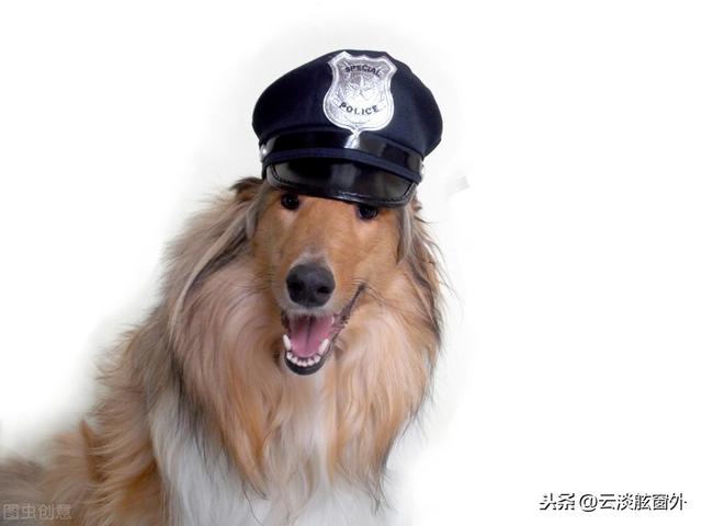 云端志异之105：警犬终结者