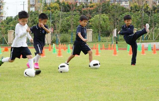 上海世外宝山教育集团成立！这6所学校成为首批成员校