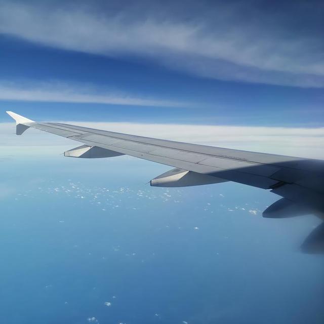 前往新加坡的太平洋天空