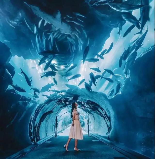 实体商业遭重创，购物中心设计如何打造“社交空间”挽救颓势？