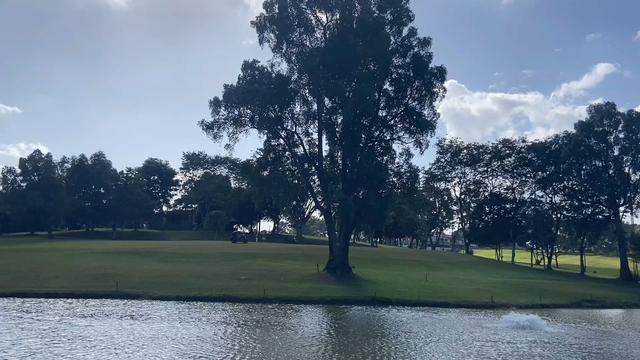 新加坡中央集水区