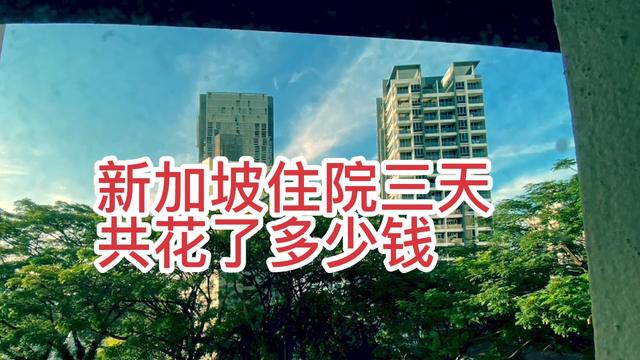 我住新加坡医院三天二夜，帐单到了，看看共花了多少钱