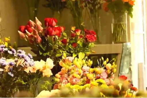 亚洲最大花卉小镇：玫瑰4毛一支，鲜花论斤卖，年销70亿