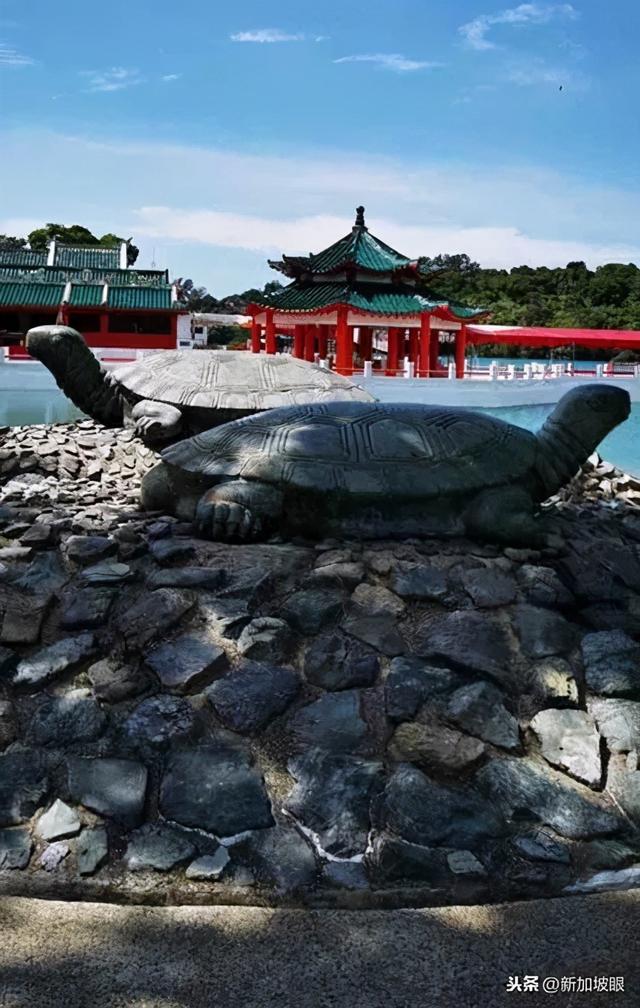 「来这里」远离城市喧嚣的“海外”、体验悠闲自得的生活