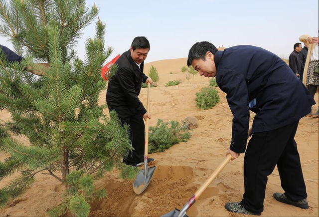 美国：中国搞面子工程！花几千亿在沙漠种树，日本专家：你懂什么