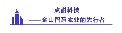 厉害了！金山的Ta们为上海夺得世界级大奖贡献智慧