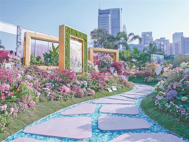 龙华“城市自然画廊”获深圳簕杜鹃花展综合造园奖大金奖