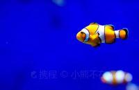 小熊的慢旅行旅拍-新加坡海洋馆