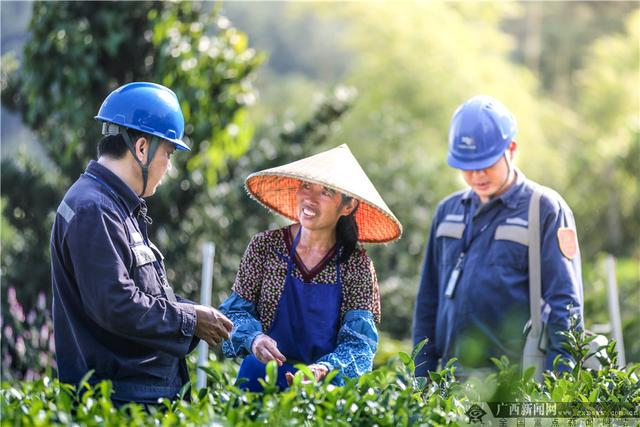 广西桂平：在致富路上不断前进的前进村