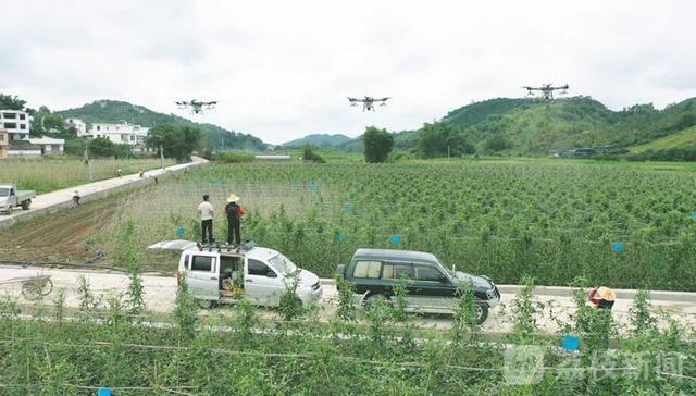 “百城千县万村调研行”|广西柳州：从街头小吃到“网红”，小小螺蛳粉撬动百亿大产业