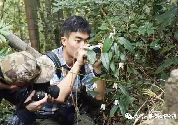 这位对蓝色毫无招架之力的青年把植物当情人，拿爱好话家常!