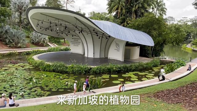 闹中取静的新加坡植物园：赏胡姬花，亲子旅游，周末放松，来吗？
